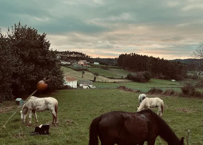 別荘 Casa Castro De Crecente Valdoviño